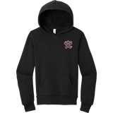 NY Stars Youth Sponge Fleece Pullover Hoodie