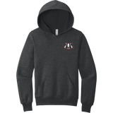 Scary Badgers Youth Sponge Fleece Pullover Hoodie