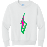 McGinn Elementary Youth "Lightning Bolt" Fleece Crewneck Sweatshirt