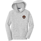 Princeton Jr. Tigers Youth PosiCharge Electric Heather Fleece Hooded Pullover